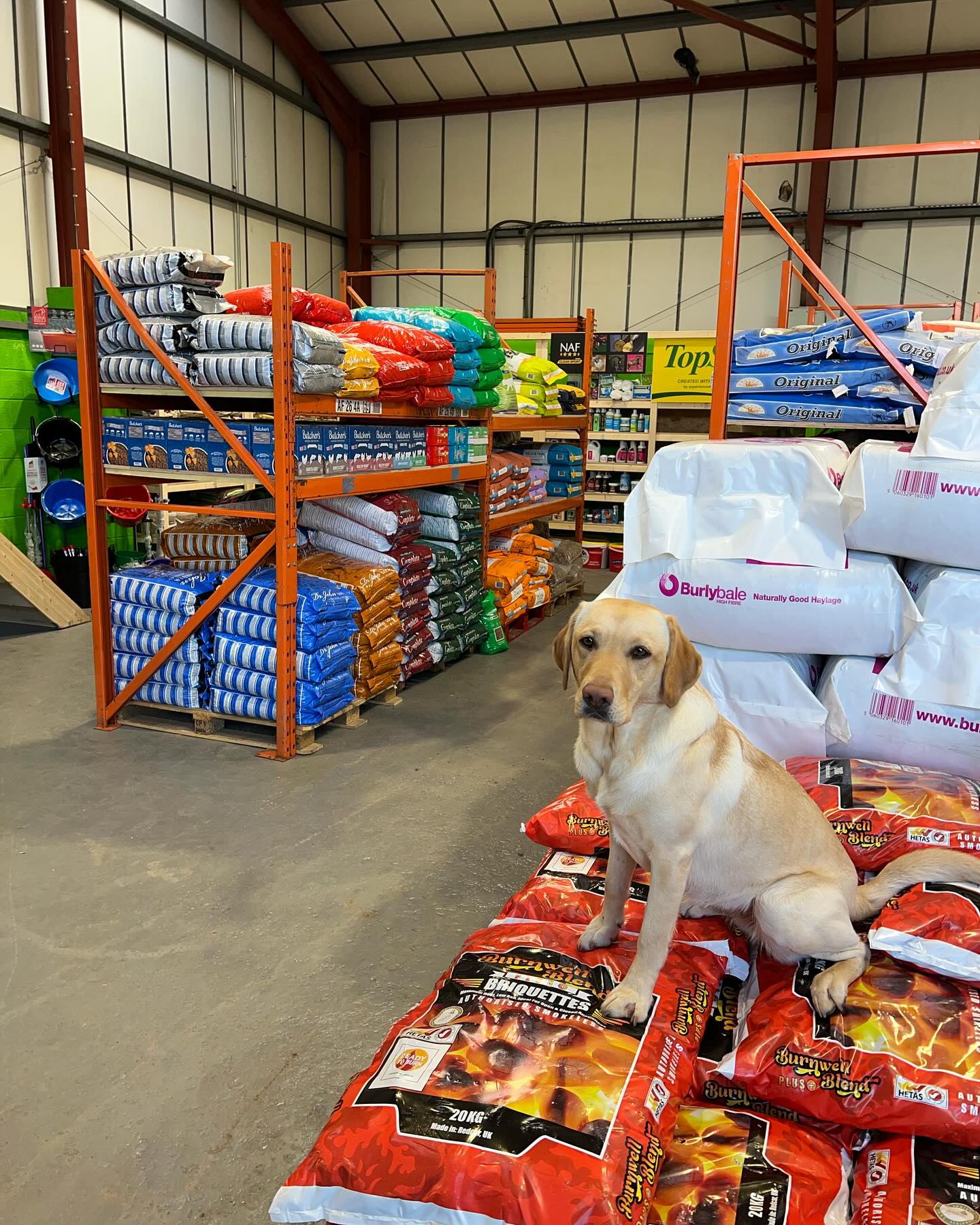 Pet supplies at Country Farmer Bromyard