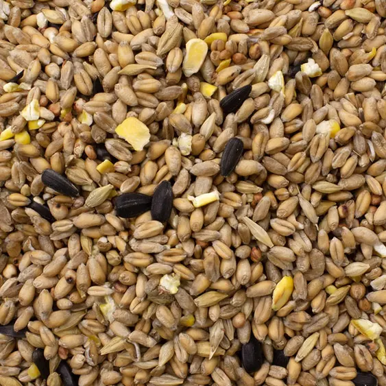 AB9 Wild Bird Seed 1 Year (POA)