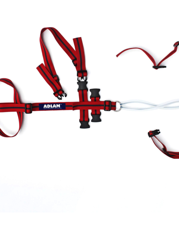Adlam Multi-use Prolapse Harness