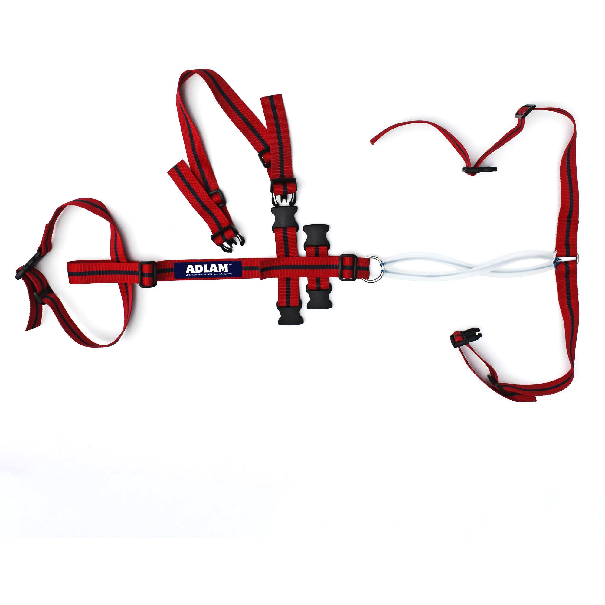 Adlam Multi-use Prolapse Harness
