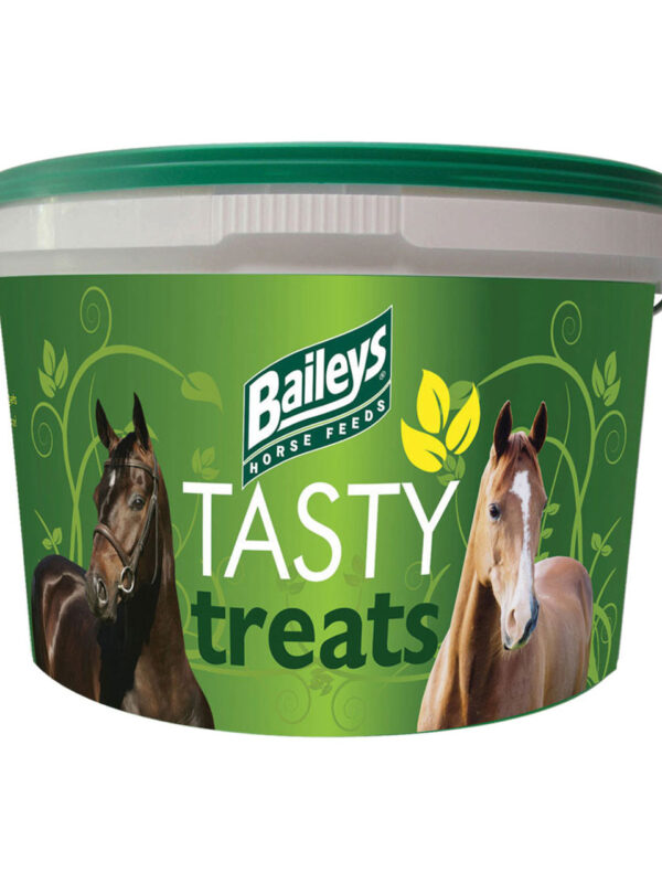 Baileys Tasty Treat Refill 5kg
