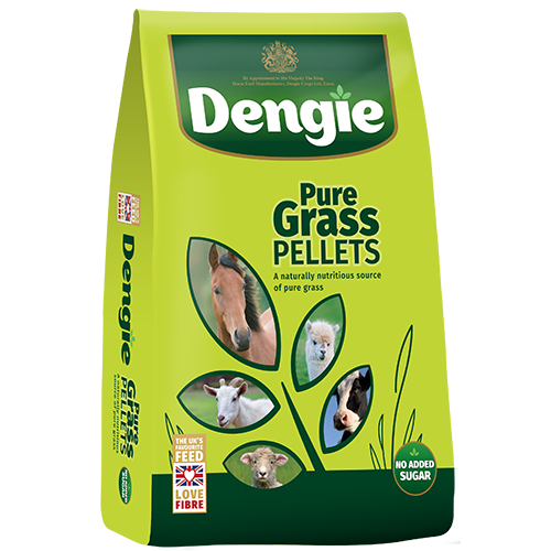Dengie Grass Pellets 20kg