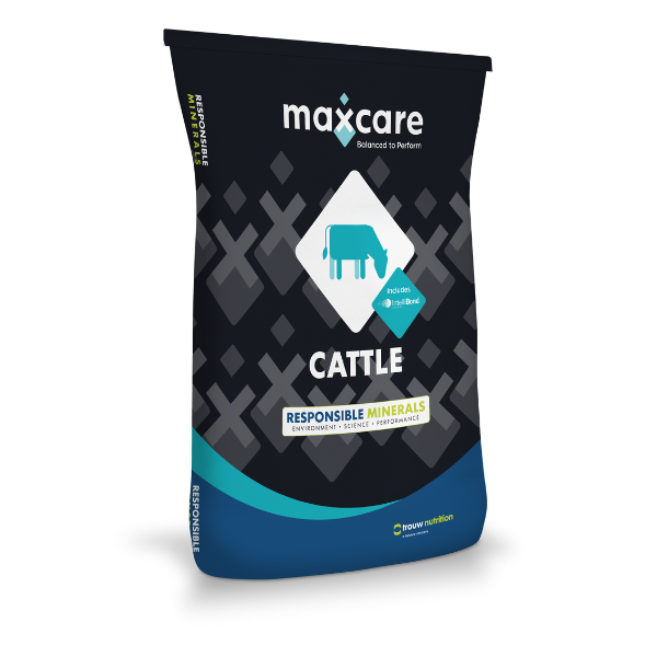 Maxcare Intensive Beef Minerals 1/t (POA)