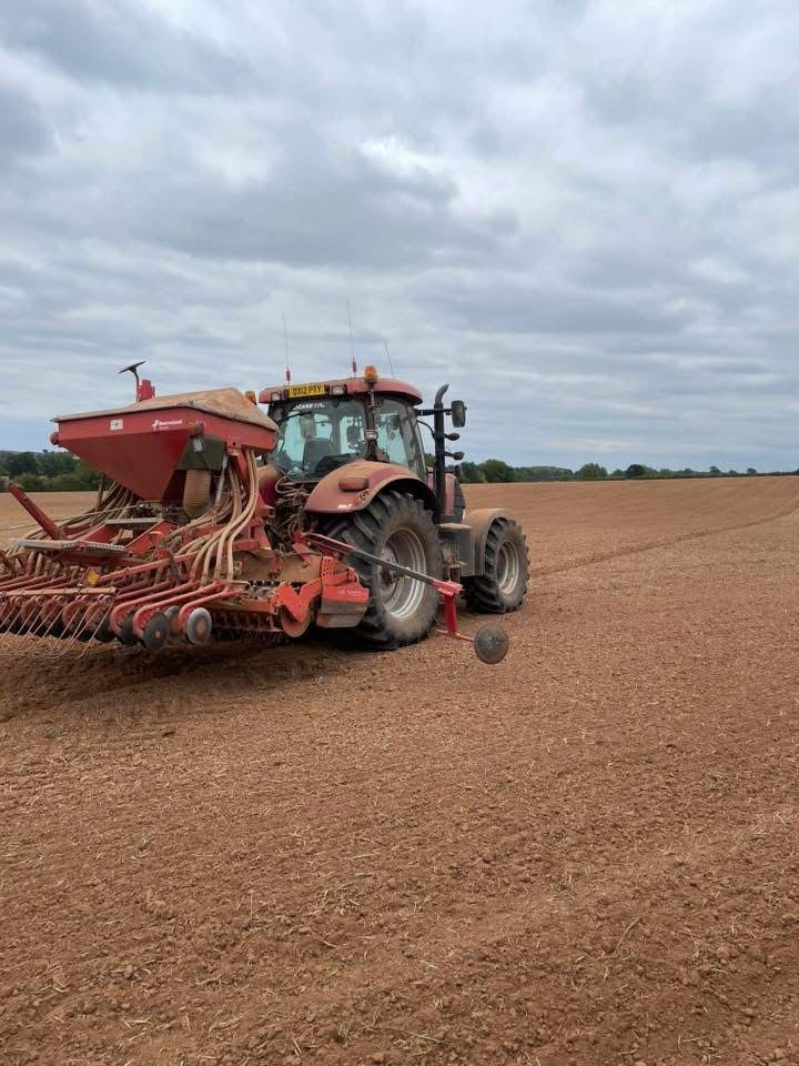Seeds at Country Farmer Bromyard