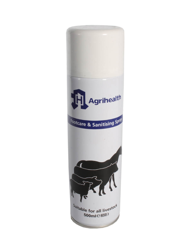 Agrihealth Foot Care Sanitising Spray 500ml