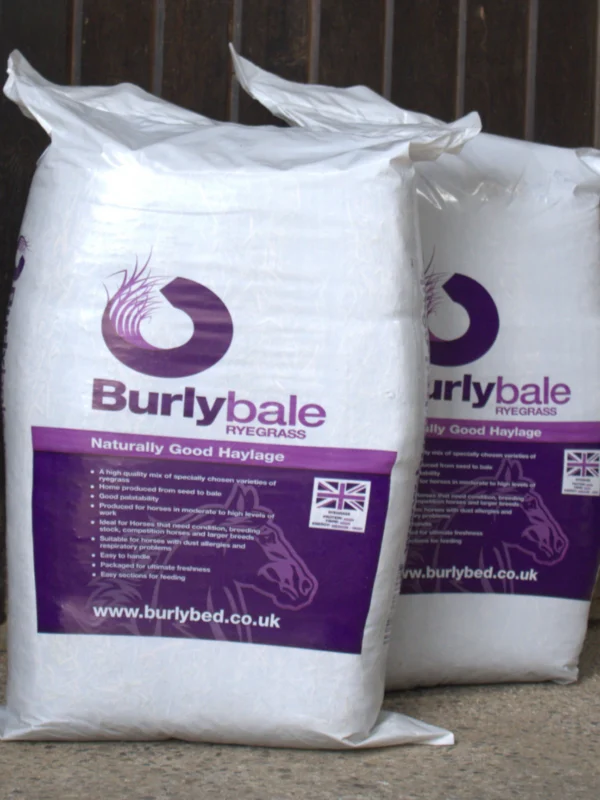 BurlyBale Ryegrass