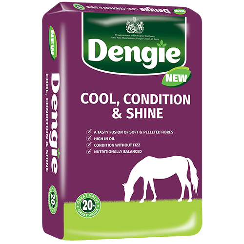 Dengie Cool Shine & Condition