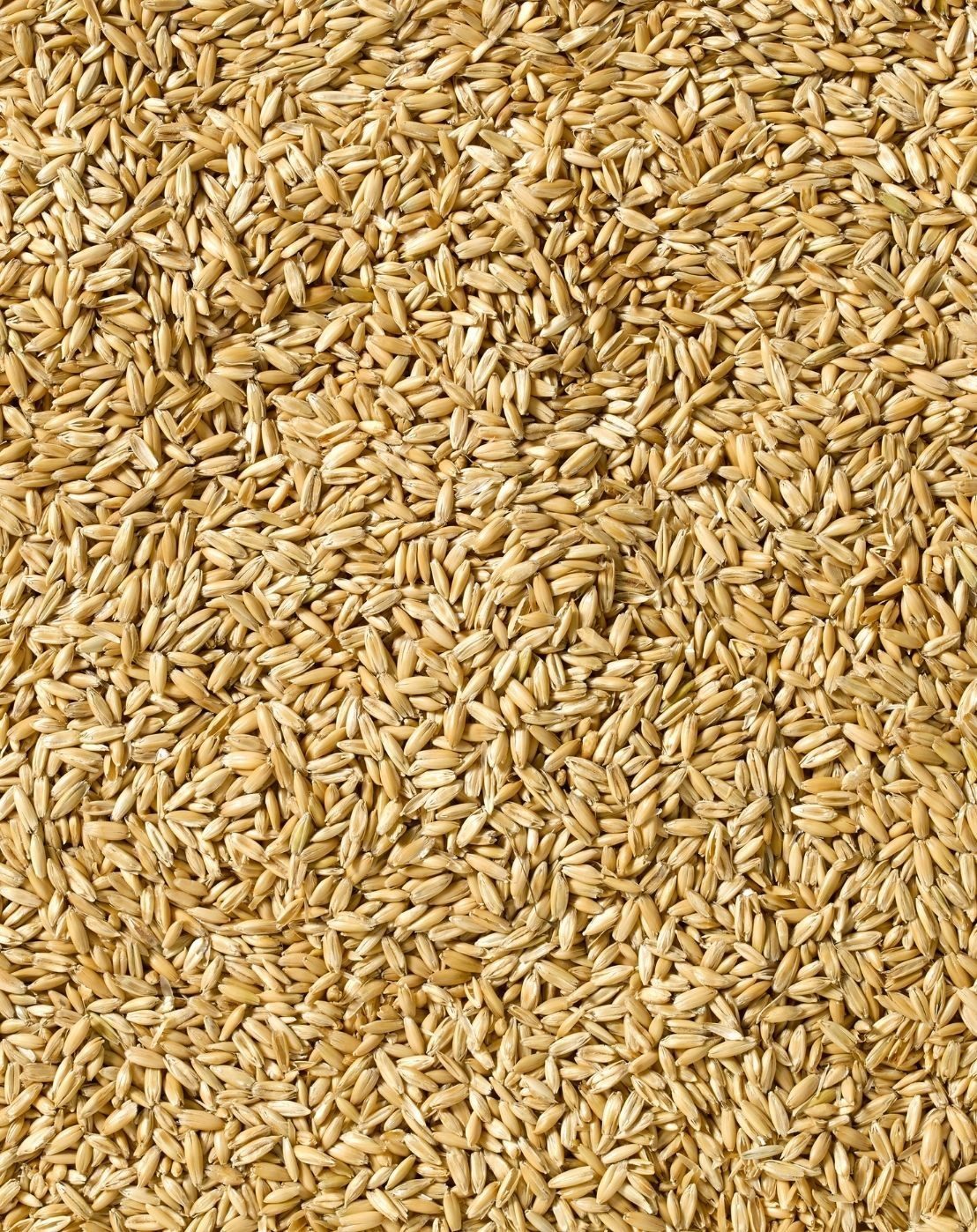 Bruised Oats